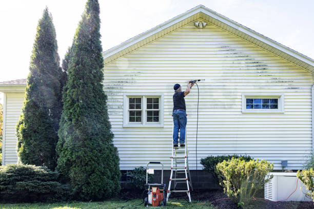 Best Gutter Cleaning  in Ellisburg, NJ
